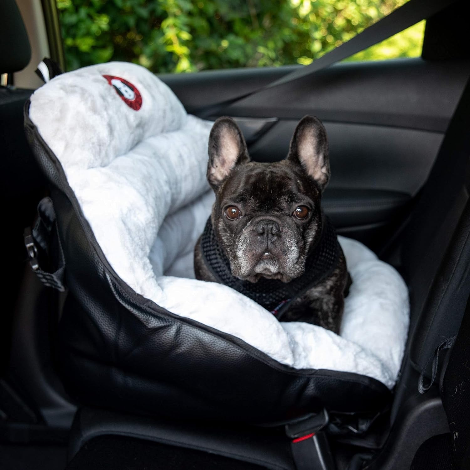 Dog Car Seats for Small and Medium Dogs | Crash-Tested Dog Bed for Cars | Compatible with Seat Belt Harness | Ideal for Dogs up to 30Lbs | Soft and Safe (Snow Leopard)