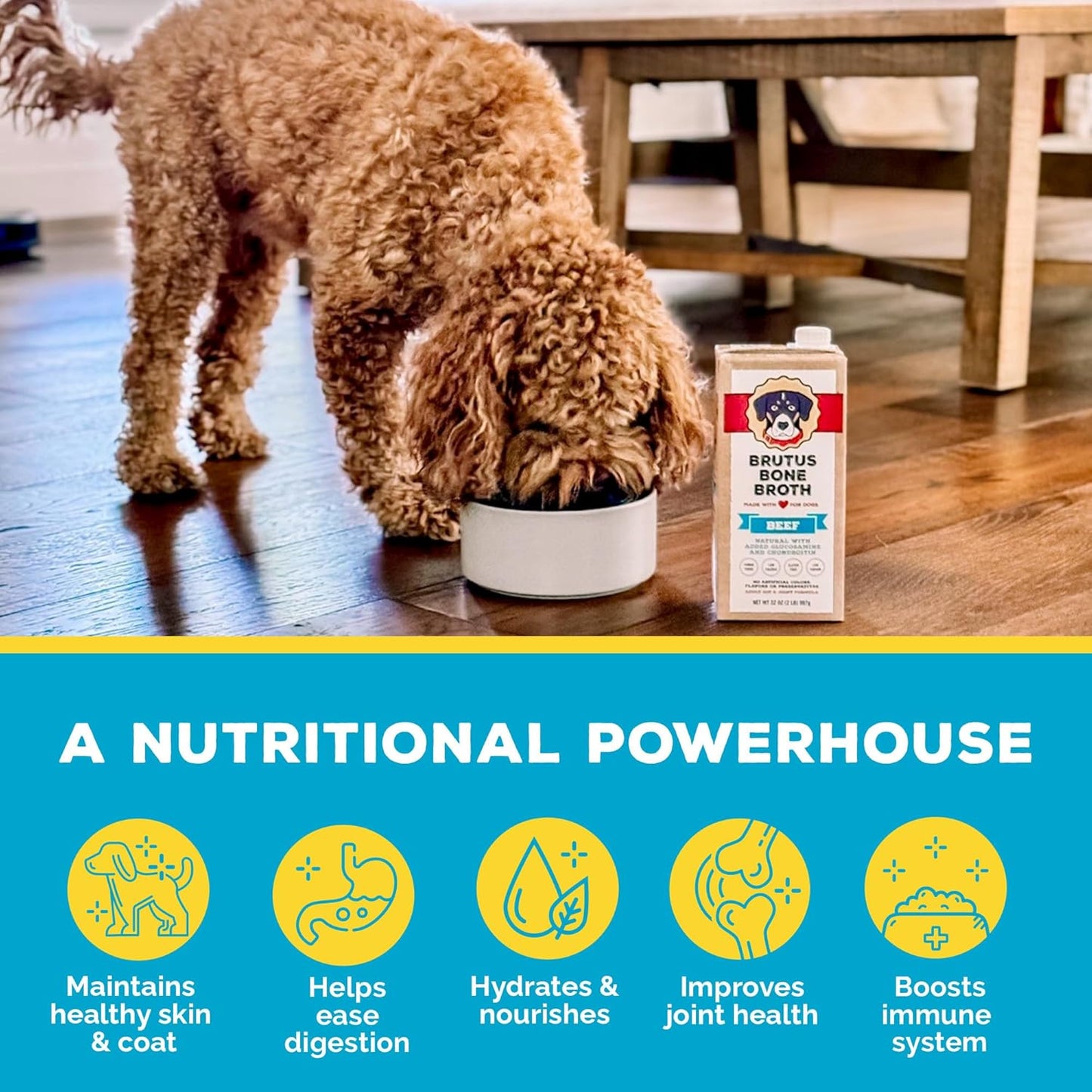Brutus Beef Bone Broth for Dogs and Cats - All Natural Bone Broth with Chondroitin Glucosamine & Turmeric, Human Grade Dog Sauce Food Toppers for Picky Eaters & Dry Food -Tasty & Nutritious- Pack of 2