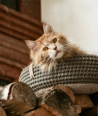 Coco Handwoven Dog & Cat Bed – Ultra-Cozy Cotton Basket with Pillow Base