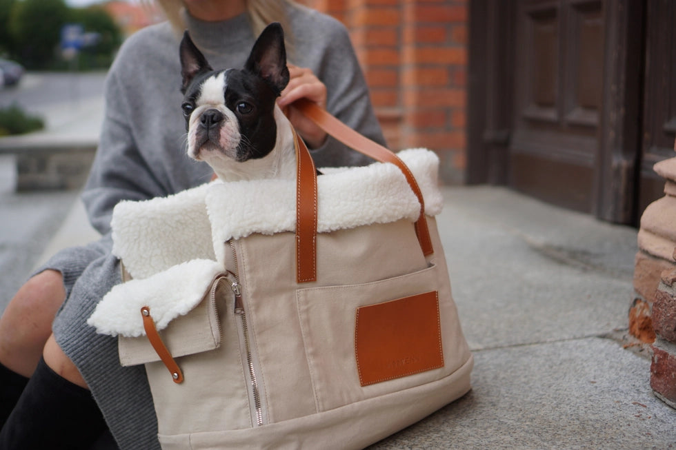 Liiva Designer Dog Carrier – Handcrafted Polish Elegance in Grey & Beige | 2-in-1 Pet & Personal Bag
